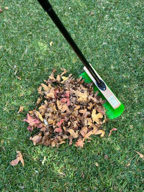 Rake Broom Green Sweeper with Telescopic Handle